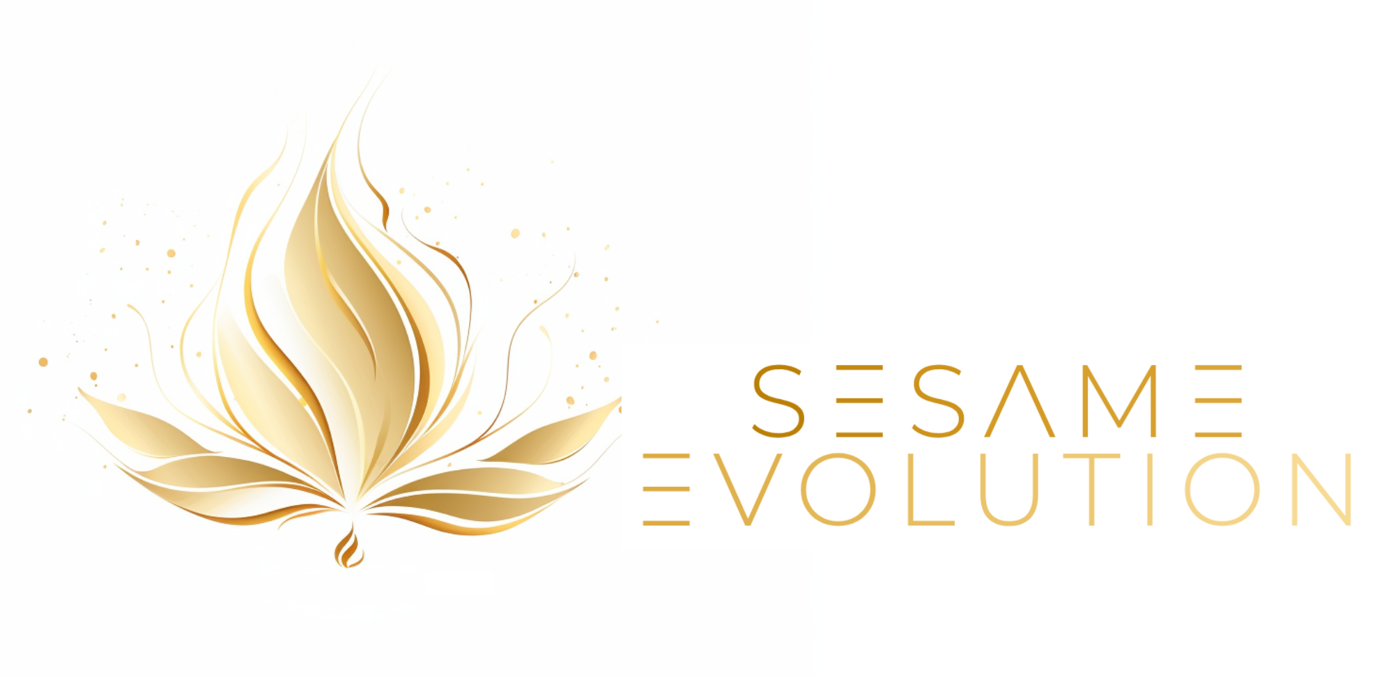 logo sesame evolution